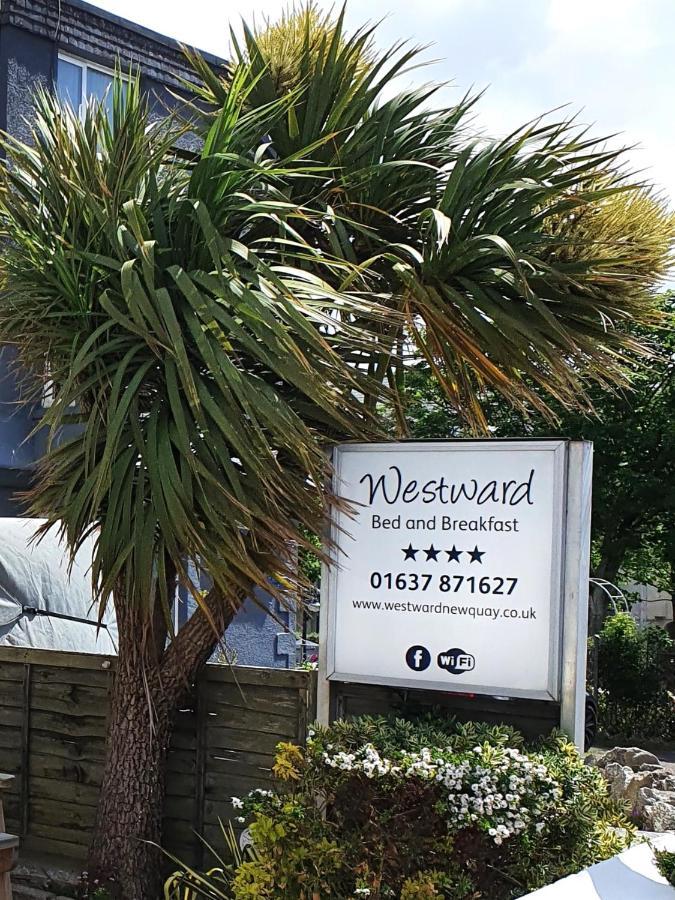 Westward B&B New Quay エクステリア 写真