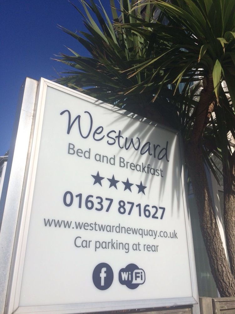 Westward B&B New Quay エクステリア 写真